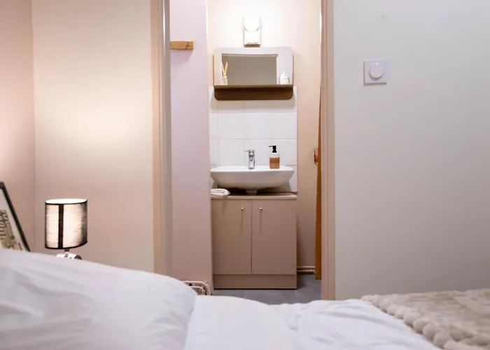 Le Jaude, T2 Renove Centre I Wifi Confort Et Cosy *